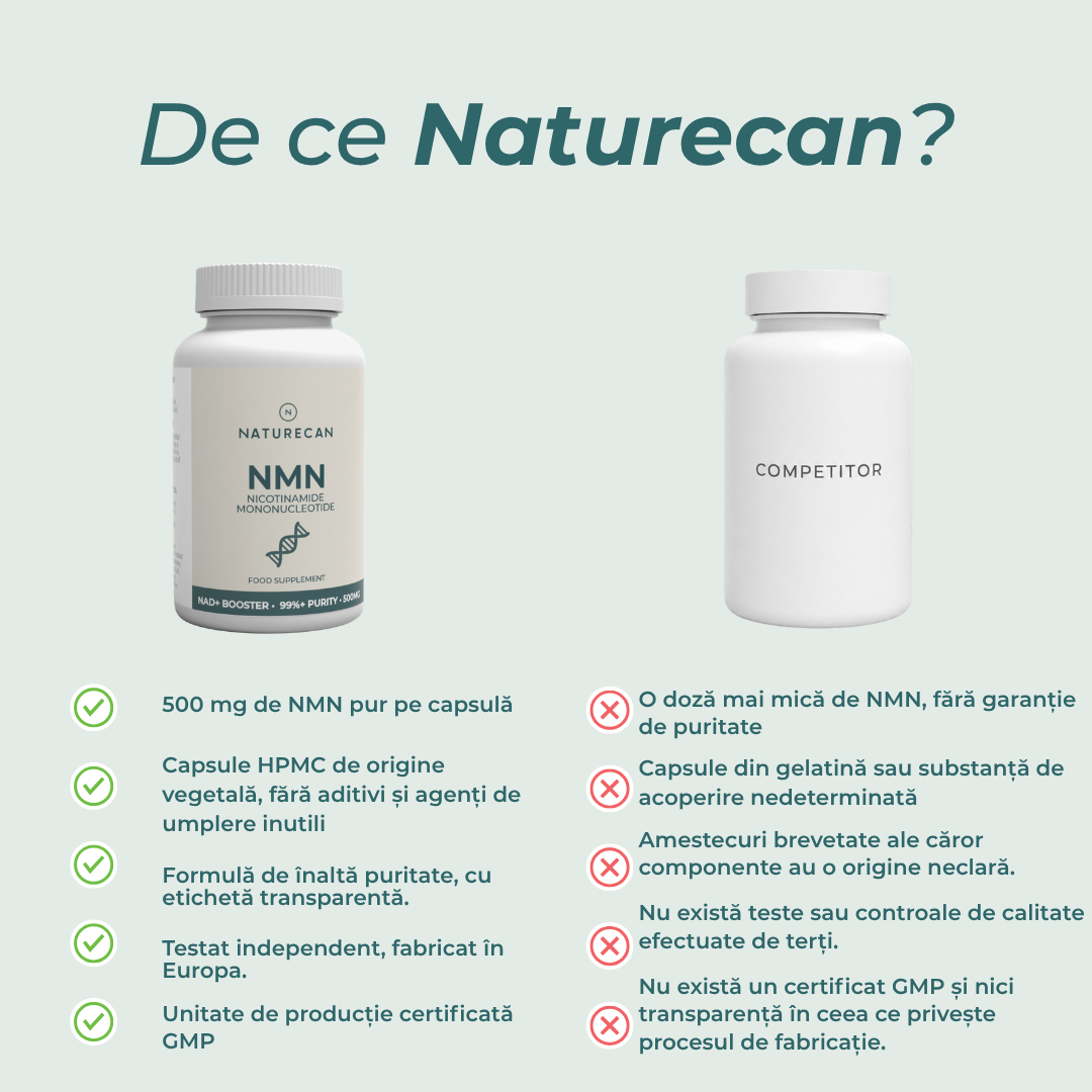 nmn capsula
