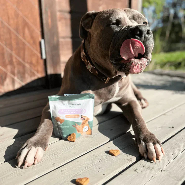 UC-II® recompense articulare pentru câini